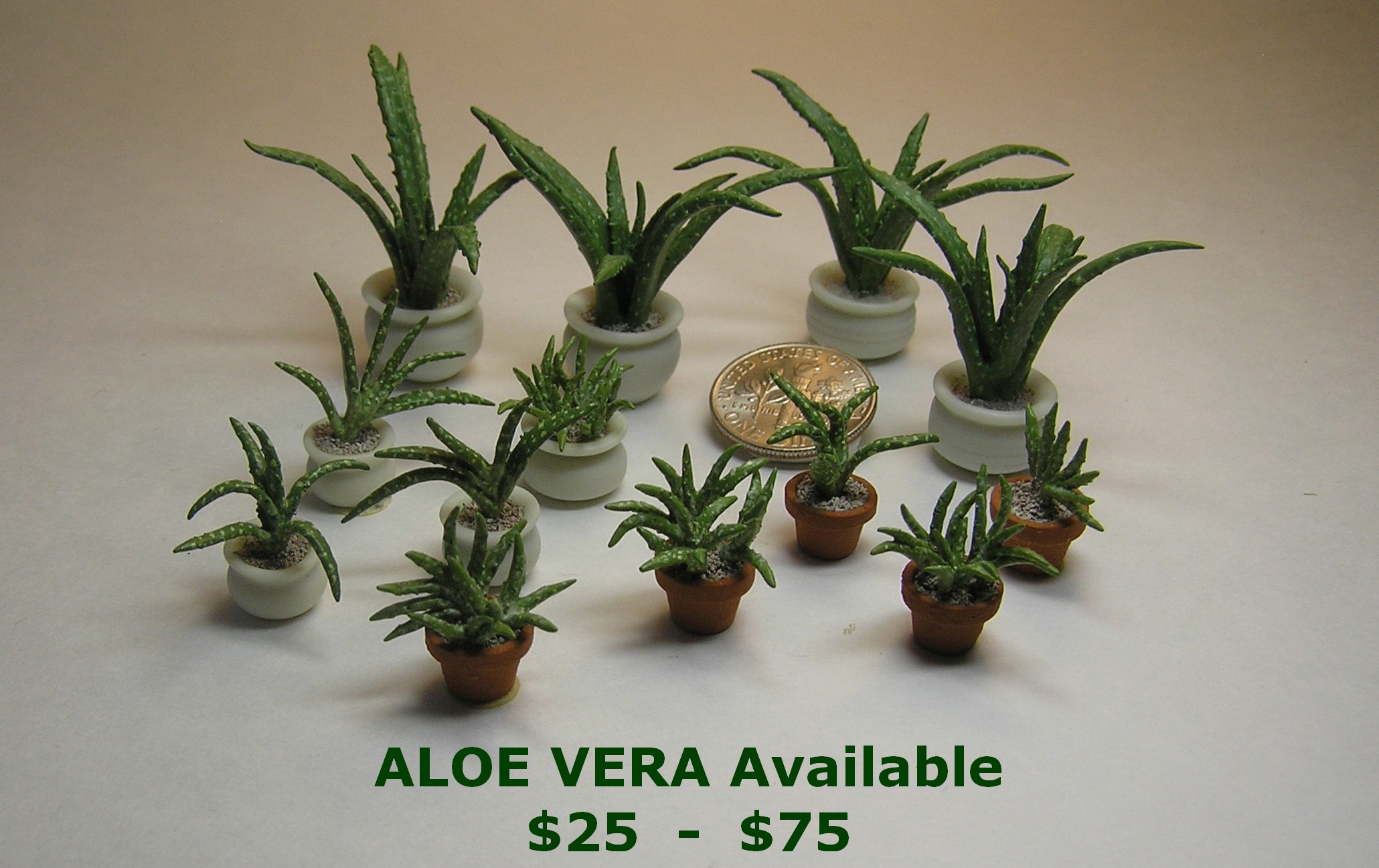 ALoe Vera Available