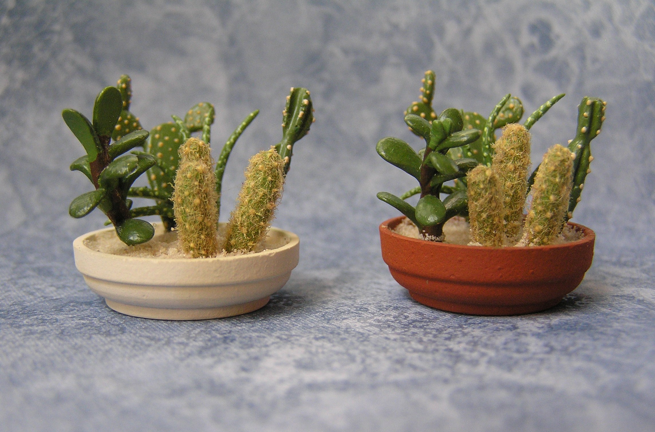 Cactus Garden large duo cropped