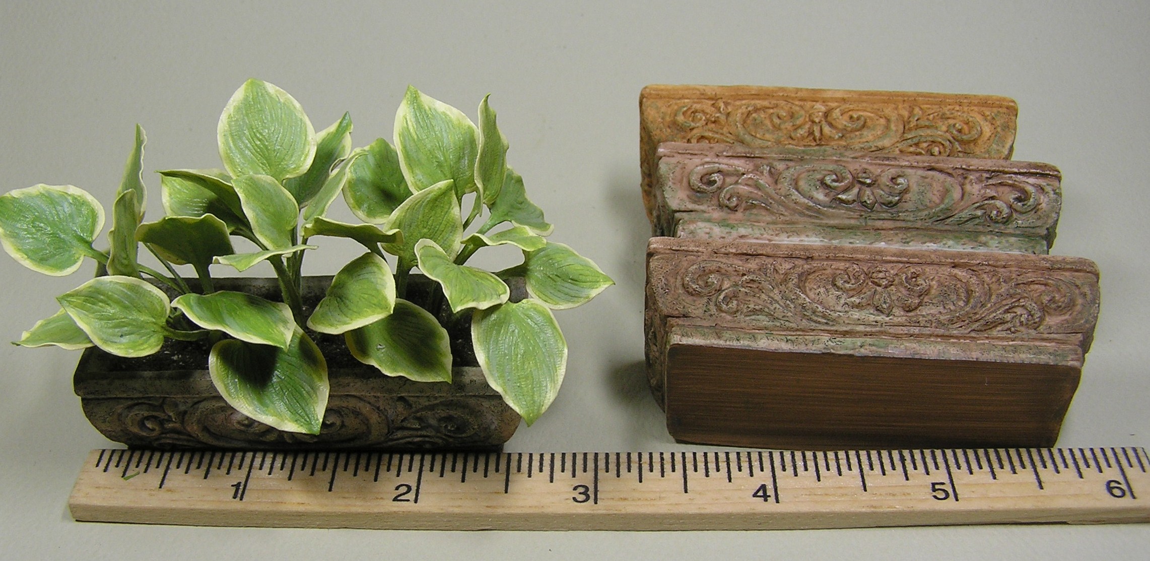 Hosta Frozen Margarita with planter selection