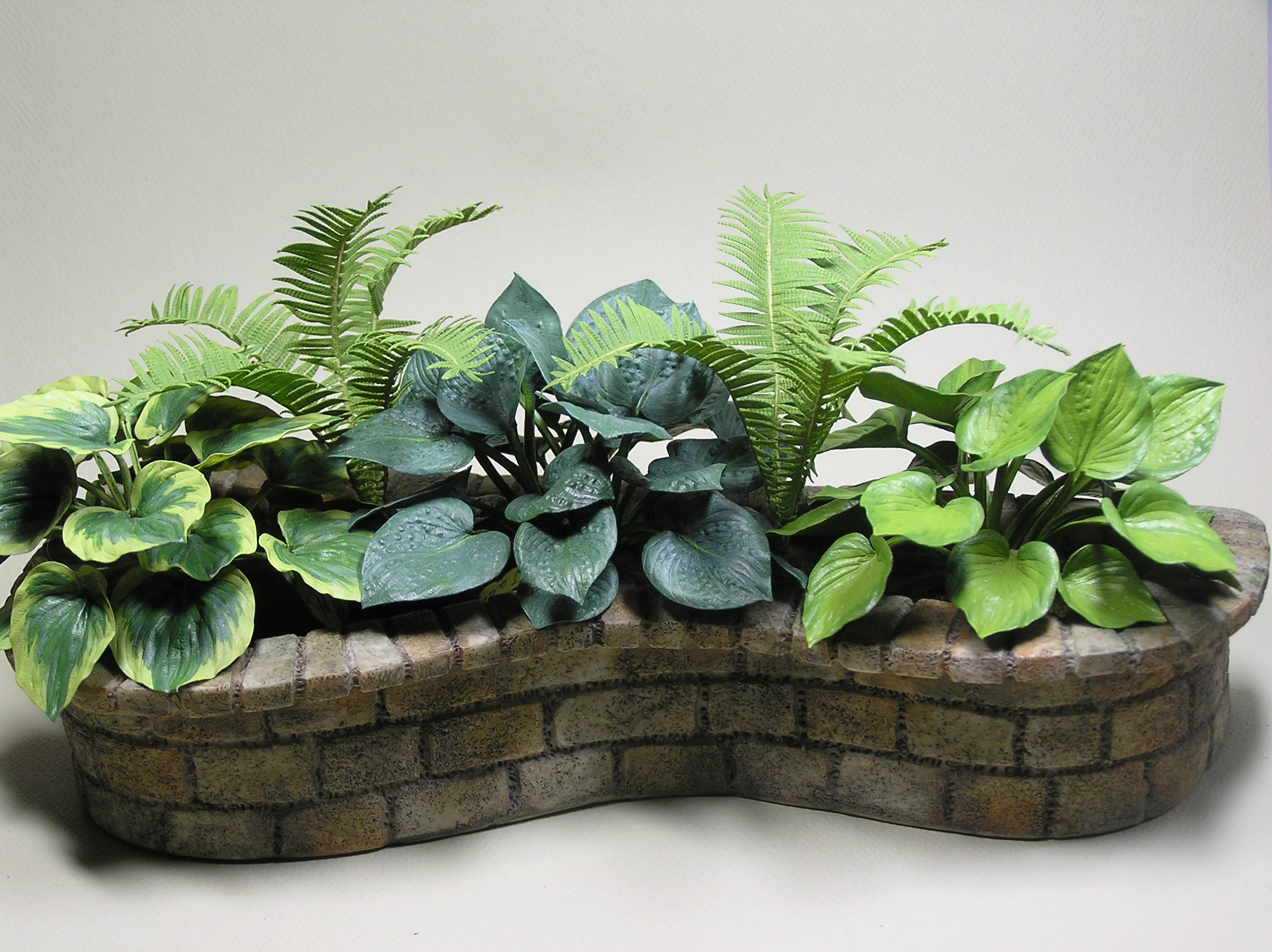 Hostas in Planter