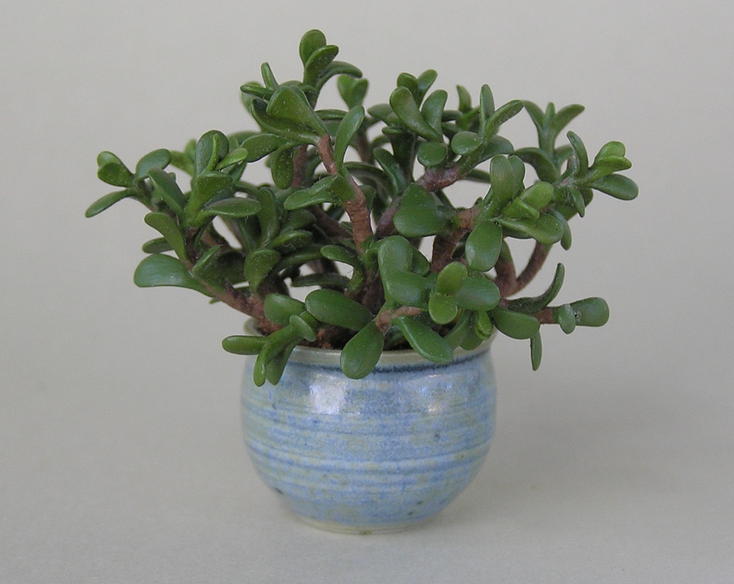 Jade