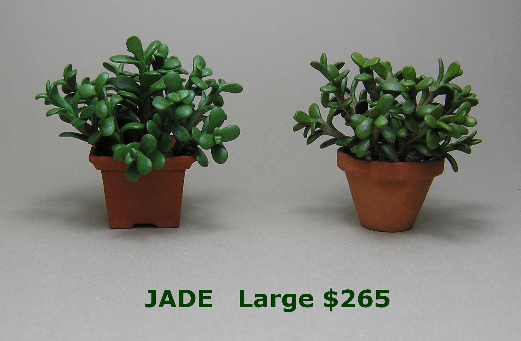 Jade Larges