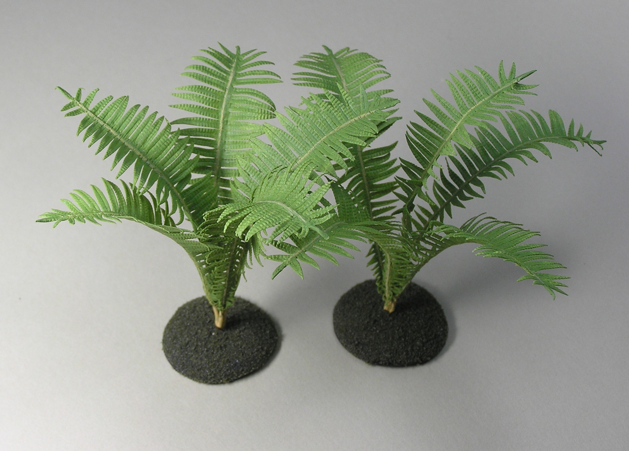 Ostrich Fern