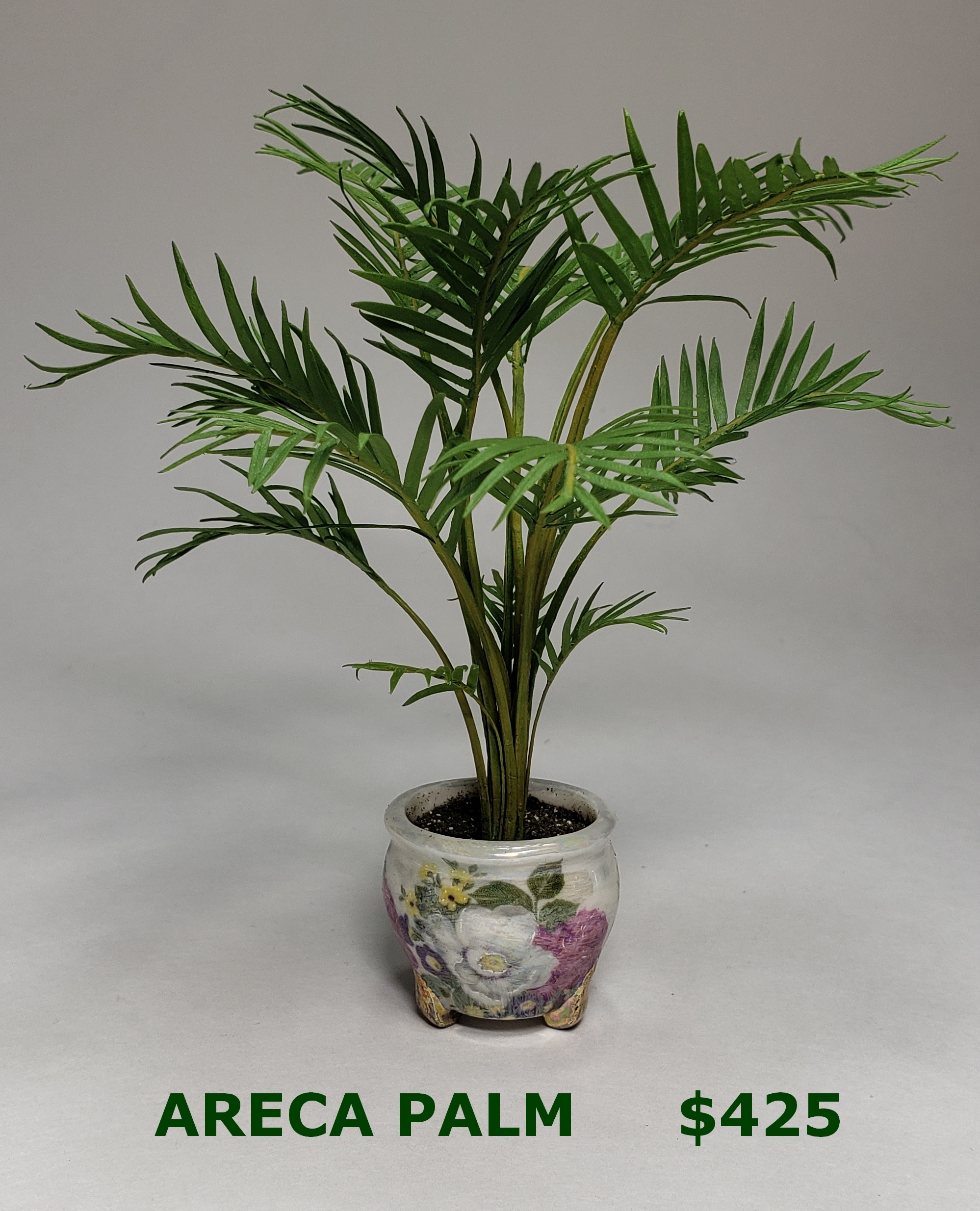 Palm