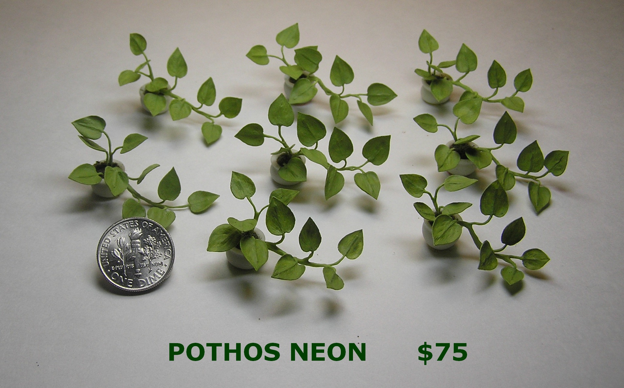 Pothos Neon