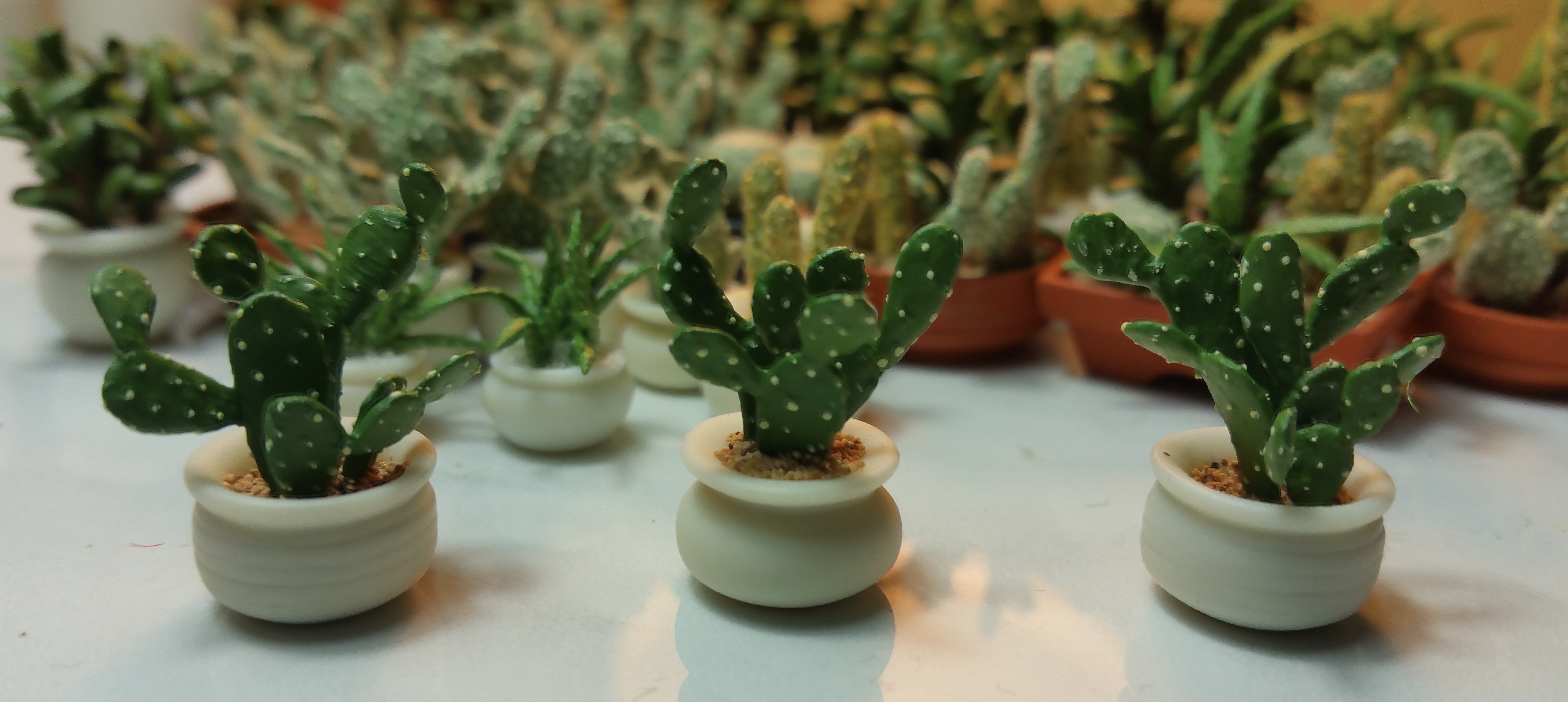 Prickly Pear Cactus